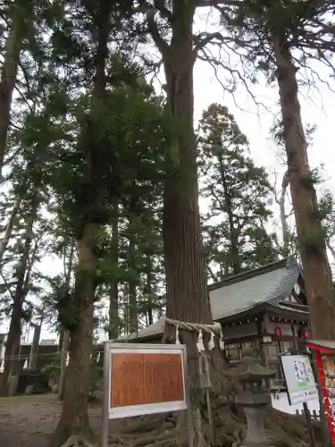 小室浅間神社の建物その他