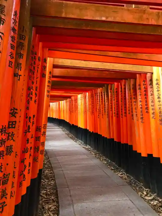 伏見稲荷大社の鳥居