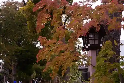 武蔵一宮氷川神社(埼玉県)