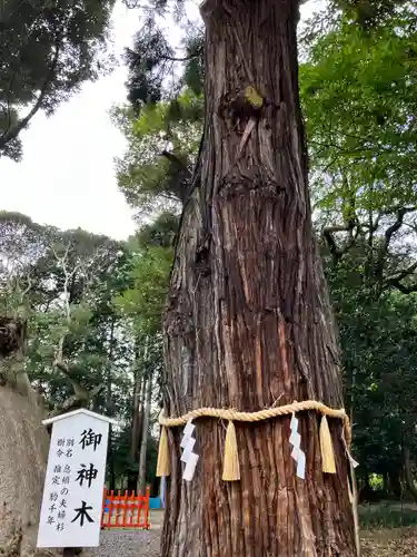 息栖神社(茨城県)