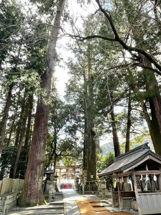 若宮神社(滋賀県)