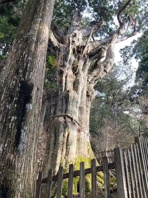 玉置神社(奈良県)