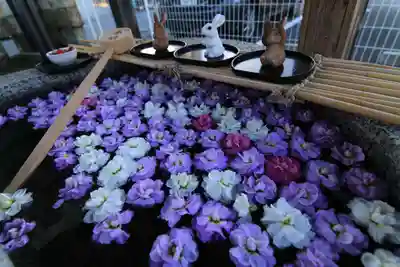 阿邪訶根神社の手水舎