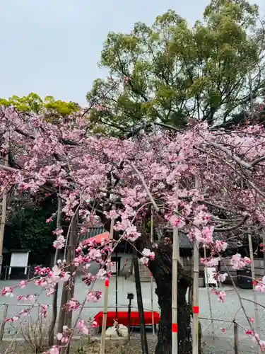 水無瀬神宮(大阪府)