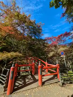 伊香保神社の自然