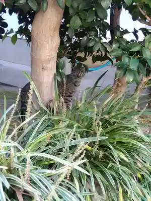 観聴寺(愛知県)