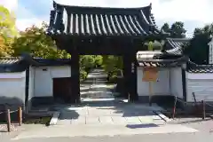 養源院の山門