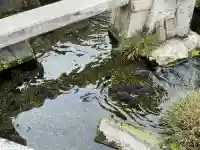 十王地蔵尊 (十王村の水)の{uncategorized: "未分類", other: "その他", undefined: "問題あり", building: "その他建物", grave: "お墓", sacred_gate: "鳥居", guardian: "狛犬", statue: "像", buddha: "仏像", history: "歴史", nature: "自然", garden: "庭園", animal: "動物", pagoda: "塔", temizu: "手水舎", mountain_gate: "山門・神門", sanctuary: "本殿・本堂", subordinate: "末社・摂社", art: "芸術", scenery: "景色", jizo: "地蔵", ema: "絵馬", goshuin: "御朱印", omikuji: "おみくじ", items: "授与品その他", amulet: "お守り", goshuincho: "御朱印帳", eats: "食事", festival: "お祭り", votive_dance: "神楽", shichigosan: "七五三参", wedding: "結婚式", experience: "体験その他", initially: "初詣", around: "周辺", anti_infection: "感染症対策"}