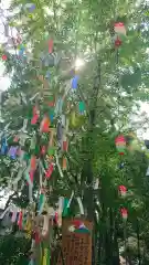 若宮神明社のお祭り