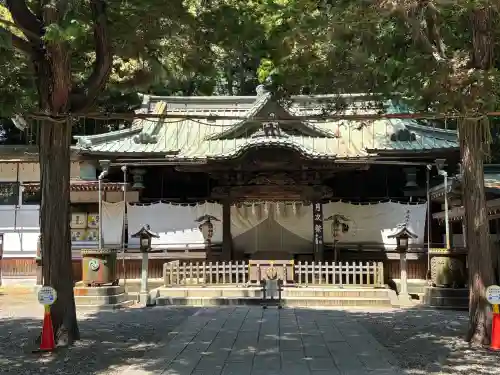 調神社の{uncategorized: "未分類", other: "その他", undefined: "問題あり", building: "その他建物", grave: "お墓", sacred_gate: "鳥居", guardian: "狛犬", statue: "像", buddha: "仏像", history: "歴史", nature: "自然", garden: "庭園", animal: "動物", pagoda: "塔", temizu: "手水舎", mountain_gate: "山門・神門", sanctuary: "本殿・本堂", subordinate: "末社・摂社", art: "芸術", scenery: "景色", jizo: "地蔵", ema: "絵馬", goshuin: "御朱印", omikuji: "おみくじ", items: "授与品その他", amulet: "お守り", goshuincho: "御朱印帳", eats: "食事", festival: "お祭り", votive_dance: "神楽", shichigosan: "七五三参", wedding: "結婚式", experience: "体験その他", initially: "初詣", around: "周辺", anti_infection: "感染症対策"}