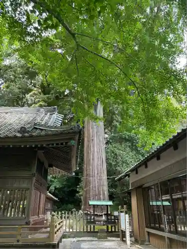 事任八幡宮(静岡県)