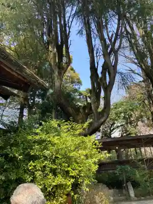 報徳二宮神社の{uncategorized: "未分類", other: "その他", undefined: "問題あり", building: "その他建物", grave: "お墓", sacred_gate: "鳥居", guardian: "狛犬", statue: "像", buddha: "仏像", history: "歴史", nature: "自然", garden: "庭園", animal: "動物", pagoda: "塔", temizu: "手水舎", mountain_gate: "山門・神門", sanctuary: "本殿・本堂", subordinate: "末社・摂社", art: "芸術", scenery: "景色", jizo: "地蔵", ema: "絵馬", goshuin: "御朱印", omikuji: "おみくじ", items: "授与品その他", amulet: "お守り", goshuincho: "御朱印帳", eats: "食事", festival: "お祭り", votive_dance: "神楽", shichigosan: "七五三参", wedding: "結婚式", experience: "体験その他", initially: "初詣", around: "周辺", anti_infection: "感染症対策"}