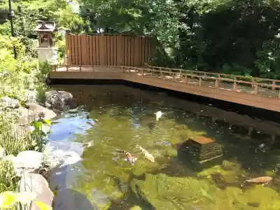 愛宕神社の動物
