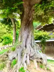 埴生神社(千葉県)