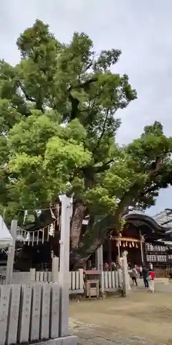 石切劔箭神社(大阪府)
