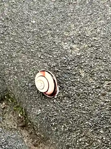 手向山八幡宮(奈良県)