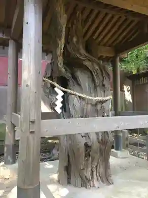 鶴嶺八幡宮のその他建物