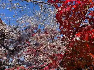 稱名院(東京都)