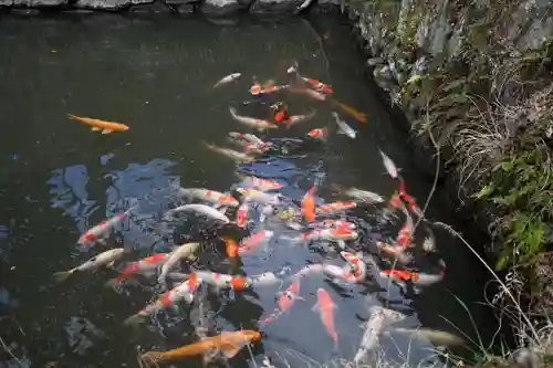 八幡神社松平東照宮(愛知県)