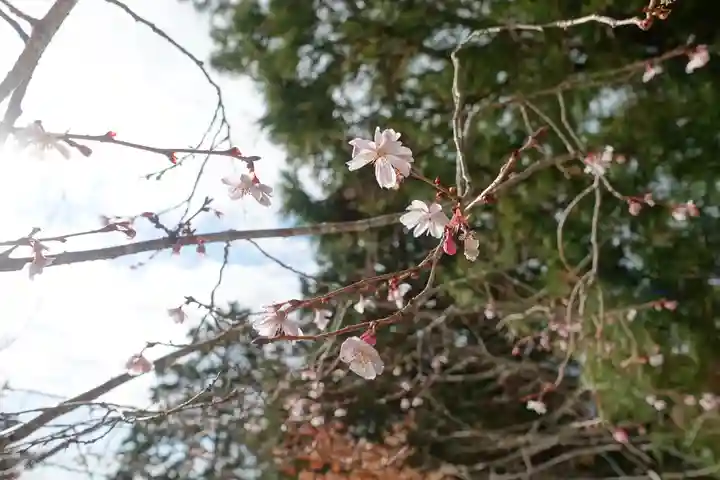 播州清水寺の自然