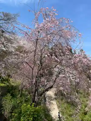 善峯寺(京都府)
