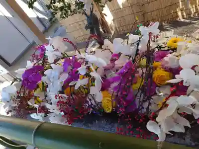 清瀧神社(千葉県)