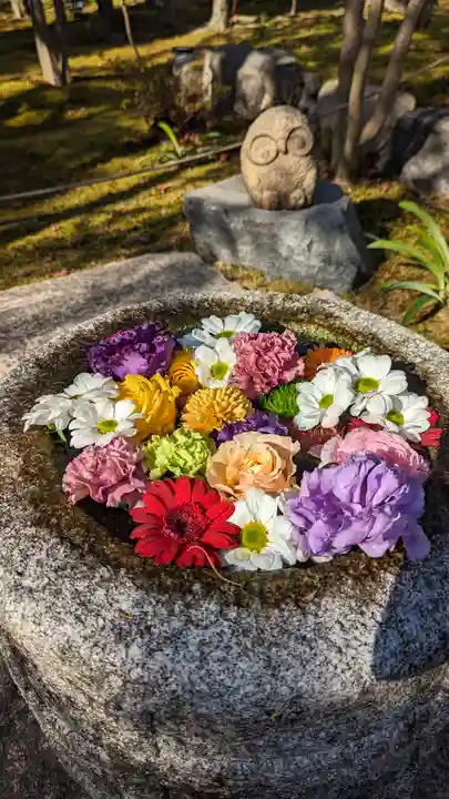 勝林寺の手水舎