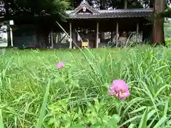 貴船神社の自然