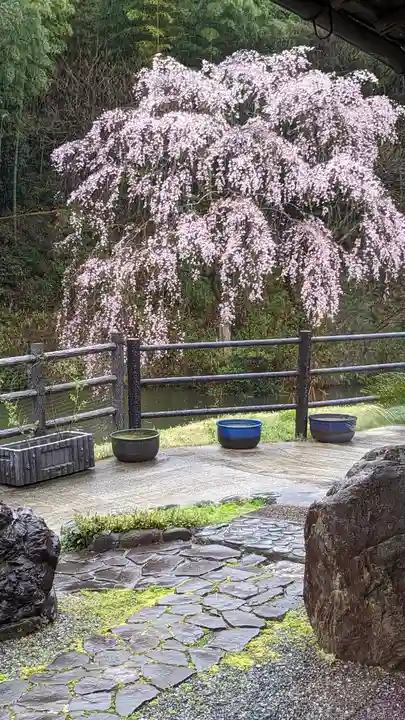 正法寺(京都府)