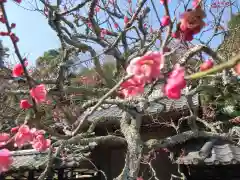 東慶寺の自然