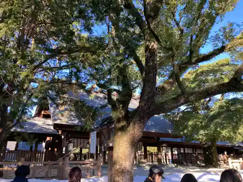 熱田神宮(愛知県)