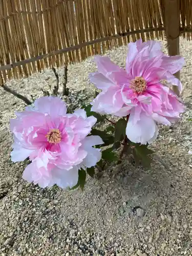 當麻寺奥院(奈良県)