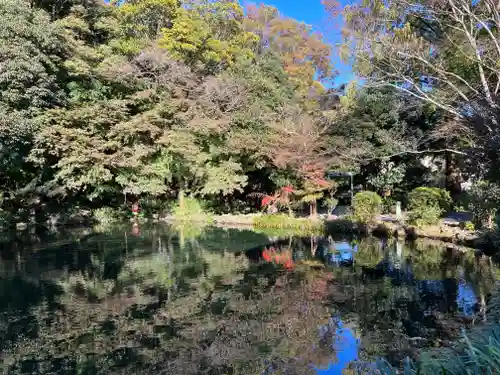 富士山本宮浅間大社の庭園