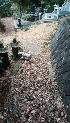 妙林寺(山梨県)