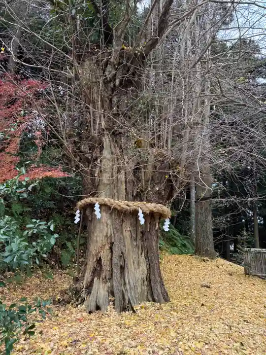 川勾神社(神奈川県)