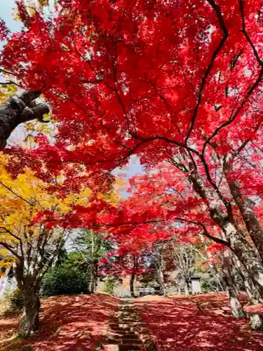 土津神社｜こどもと出世の神さまの景色