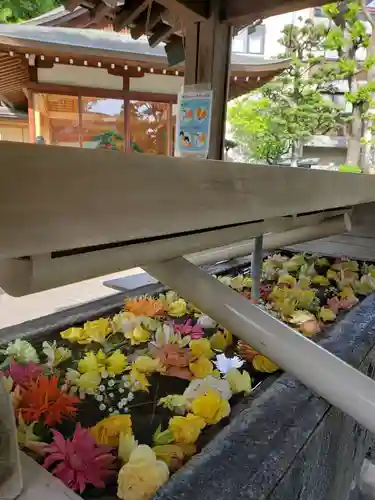 鳩森八幡神社の手水舎