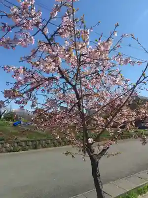 大宮住吉神社(埼玉県)