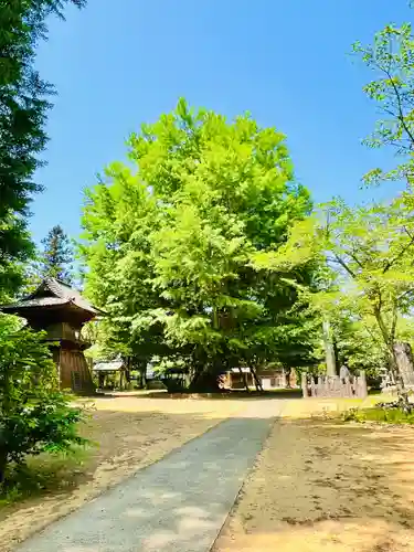 西蓮寺(茨城県)