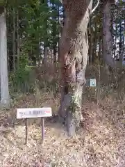 安達太良神社(福島県)