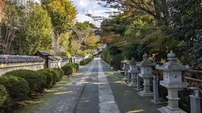 隨心院(随心院)(京都府)
