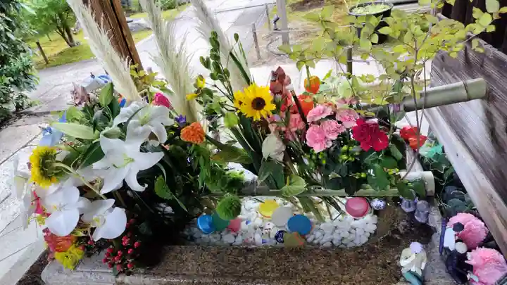 勝林寺(京都府)