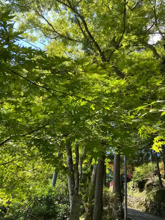 比叡山延暦寺(滋賀県)