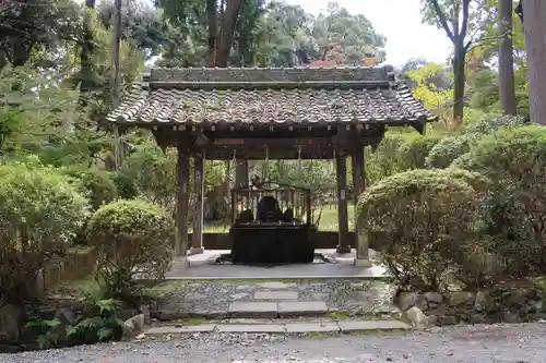 園城寺（三井寺）(滋賀県)