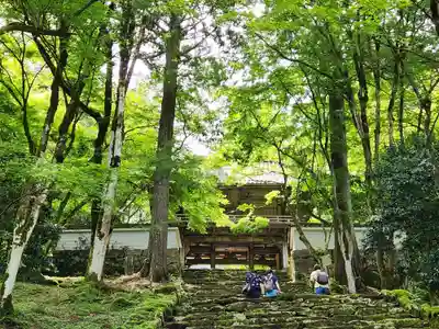 高源寺の山門・神門
