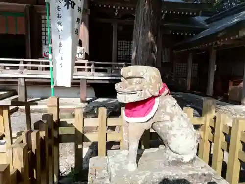 大麻比古神社の狛犬