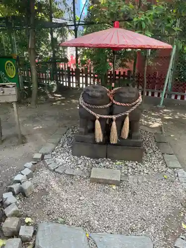 浅草神社の狛犬