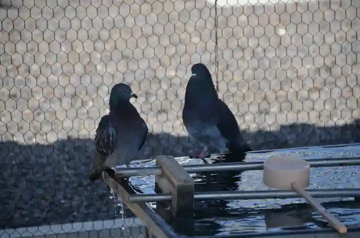 津観音(三重県)