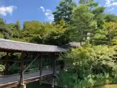 高台寺（高台寿聖禅寺・高臺寺）(京都府)