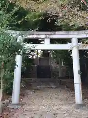 千歳稲荷神社の鳥居